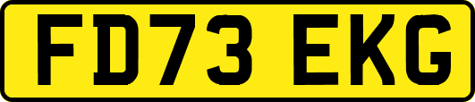 FD73EKG