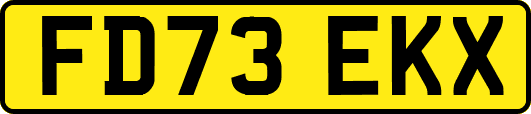 FD73EKX