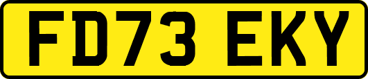 FD73EKY