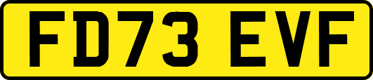 FD73EVF