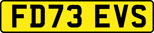 FD73EVS