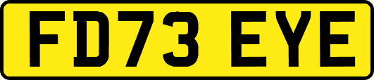 FD73EYE