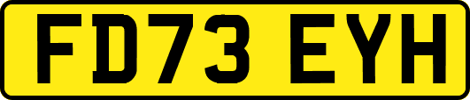 FD73EYH