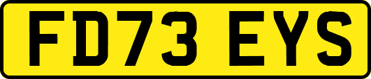 FD73EYS