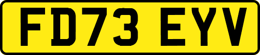 FD73EYV