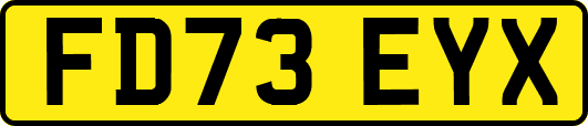 FD73EYX