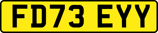 FD73EYY