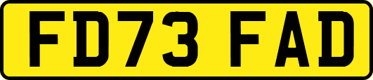 FD73FAD