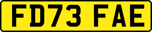 FD73FAE