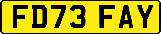 FD73FAY