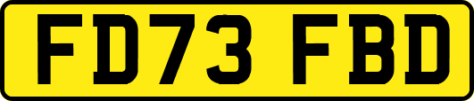 FD73FBD