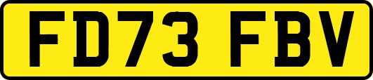 FD73FBV