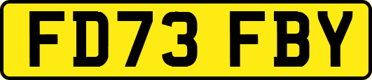 FD73FBY