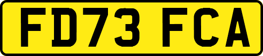 FD73FCA