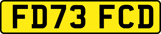 FD73FCD