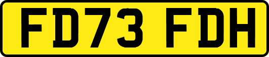 FD73FDH