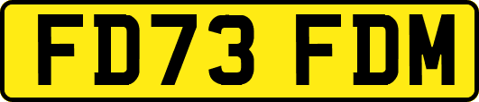 FD73FDM