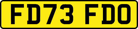 FD73FDO