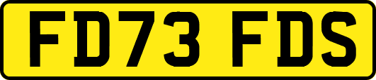 FD73FDS
