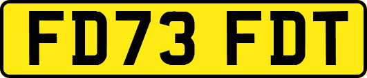 FD73FDT