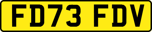 FD73FDV