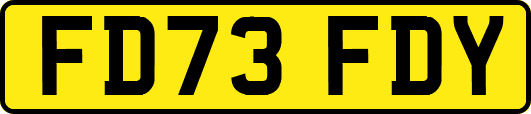 FD73FDY