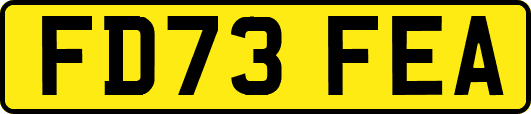FD73FEA