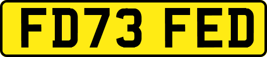 FD73FED