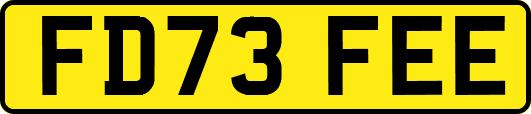 FD73FEE