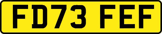 FD73FEF