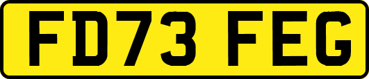 FD73FEG