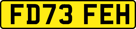 FD73FEH