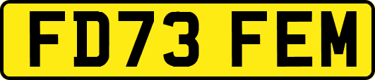 FD73FEM