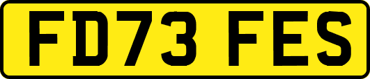 FD73FES