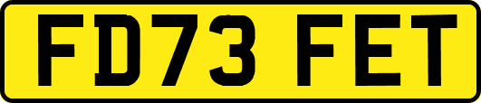 FD73FET
