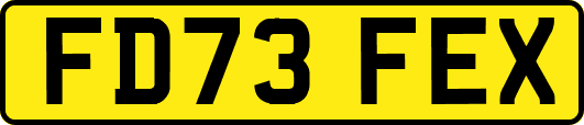 FD73FEX