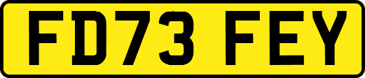 FD73FEY