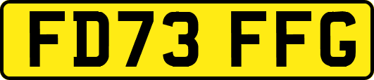 FD73FFG