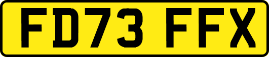 FD73FFX