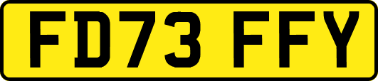 FD73FFY