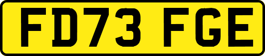 FD73FGE