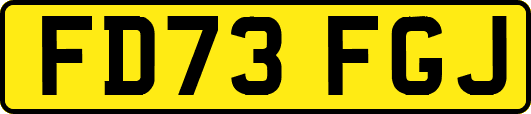 FD73FGJ
