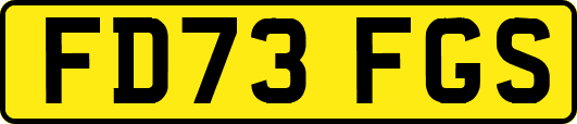 FD73FGS