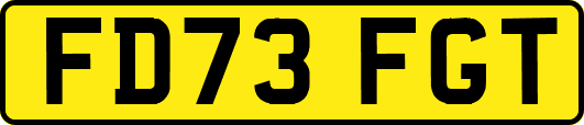 FD73FGT