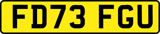 FD73FGU