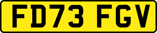 FD73FGV