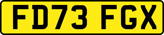 FD73FGX