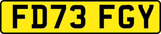FD73FGY