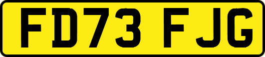 FD73FJG