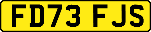 FD73FJS